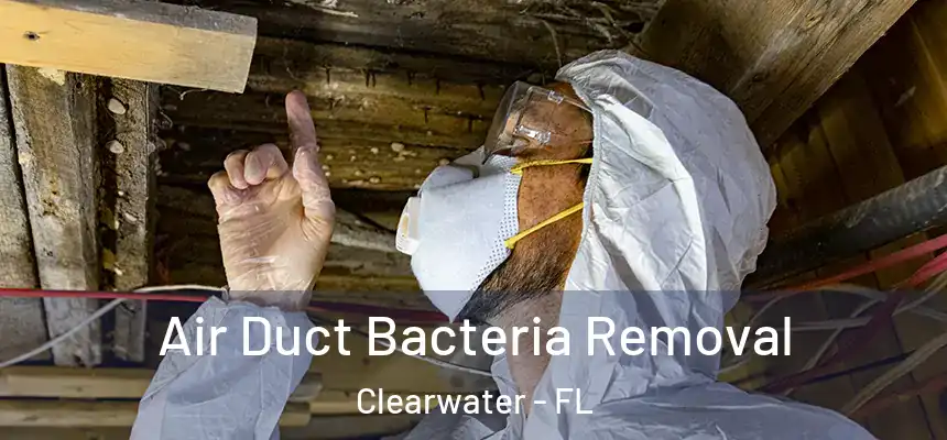 Air Duct Bacteria Removal Clearwater - FL