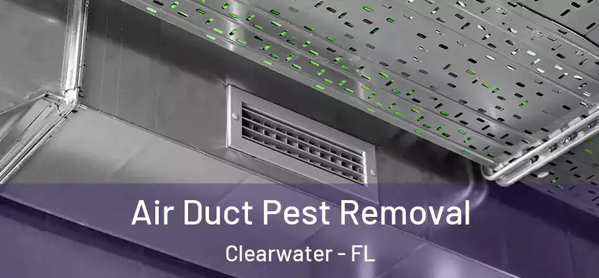 Air Duct Pest Removal Clearwater - FL