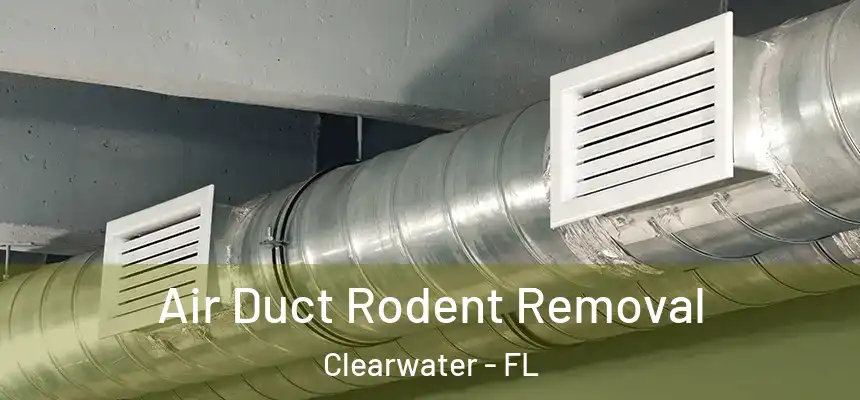 Air Duct Rodent Removal Clearwater - FL