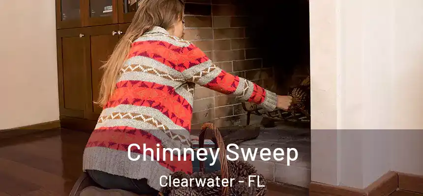 Chimney Sweep Clearwater - FL