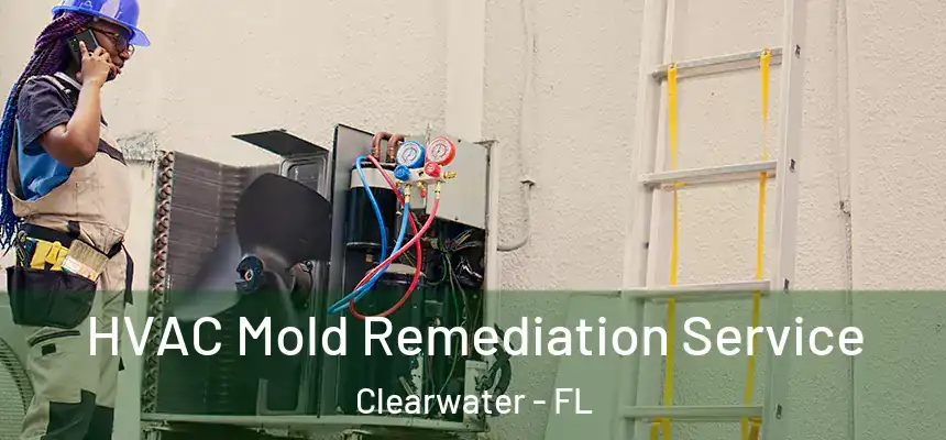 HVAC Mold Remediation Service Clearwater - FL