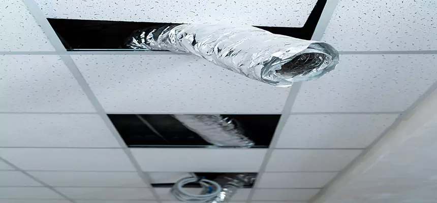 Affordable HVAC Sanitizing After Pest Removal in Clearwater