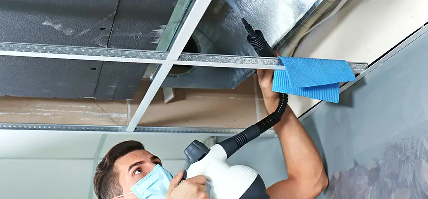 Our Air Duct Rodent Removal Services in Clearwater, FL