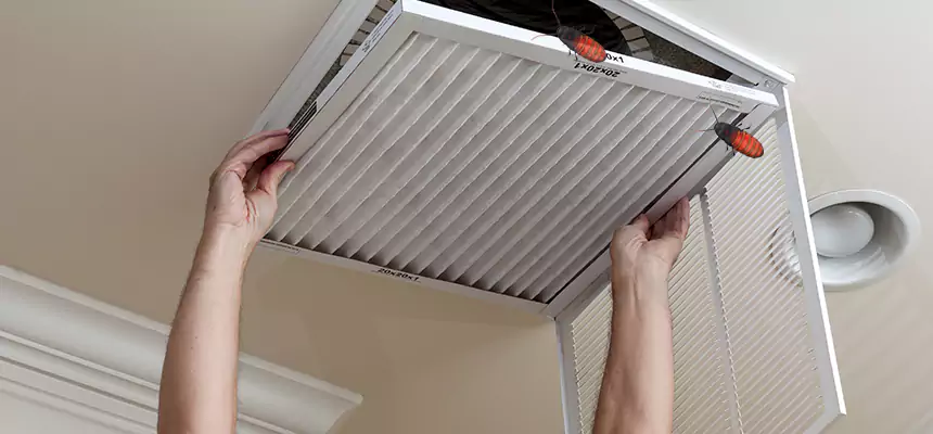 Our Insect Removal from Air Ducts Services in Clearwater, FL