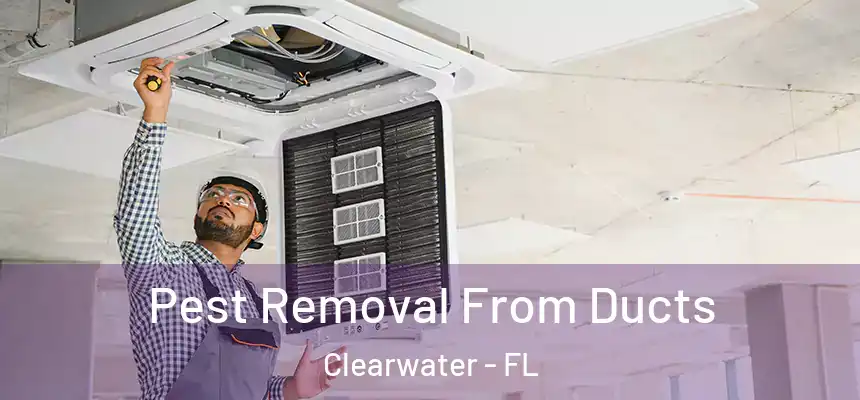 Pest Removal From Ducts Clearwater - FL
