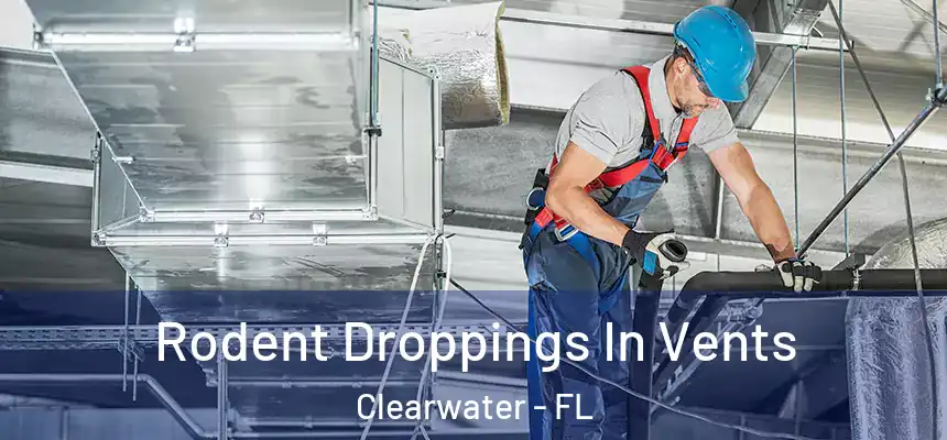 Rodent Droppings In Vents Clearwater - FL