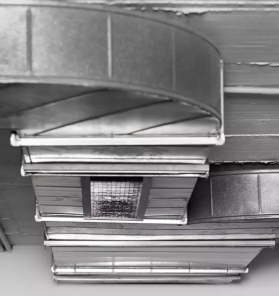 Professional Air Duct Pest Removal in Clearwater, FL