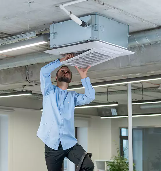 Advanced Rodent Droppings In Vents in Clearwater, FL