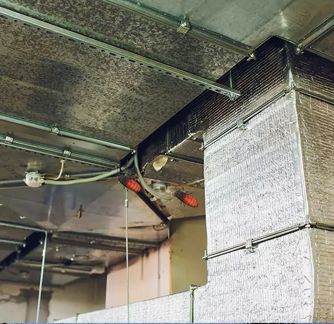 Why Homeowners & Businesses Trust Us in Clearwater, FL?