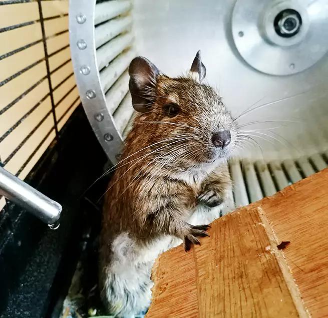 Why Homeowners & Businesses Trust Us Clearwater, FL