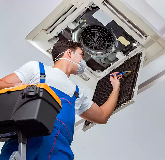 Why Homeowners & Businesses Trust Us in Clearwater, FL