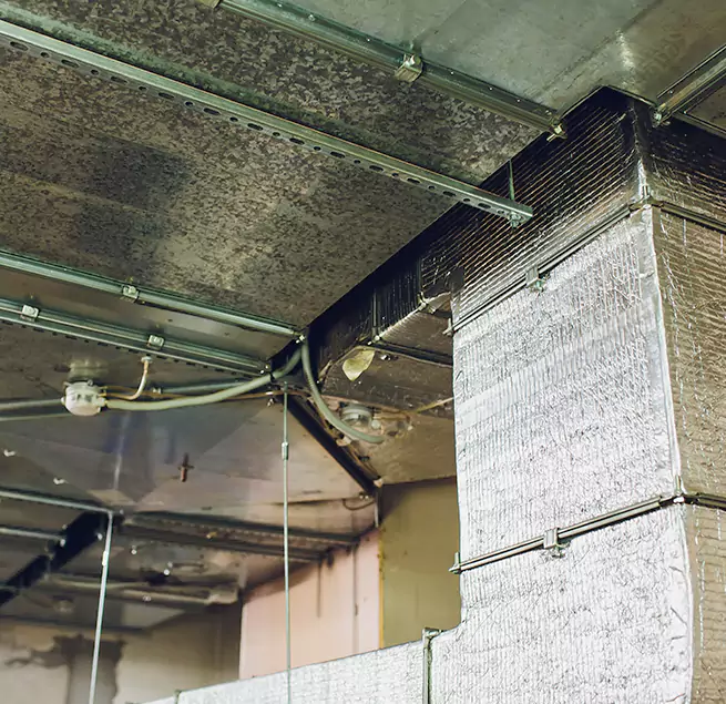 Why Homeowners & Businesses Trust Us in Clearwater, FL?