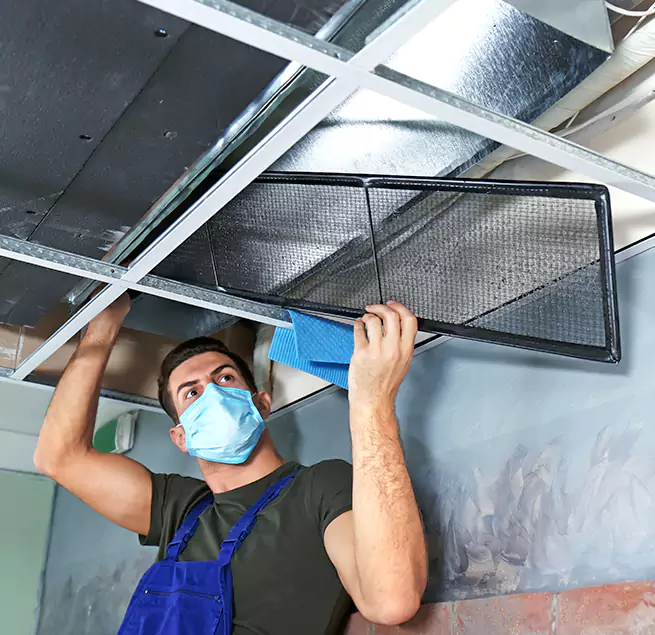 Why Homeowners Businesses Trust Us in Clearwater, FL?